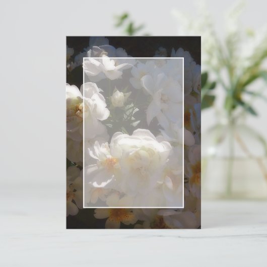 Invitation Budget vierge Roses blanches mariage (Debout devant)