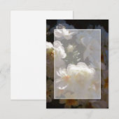 Invitation Budget vierge Roses blanches mariage (Devant / Derrière)
