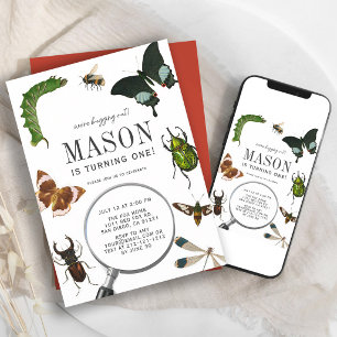 Invitation Bugs & Insectes Garçon Vintage 1er Anniversaire