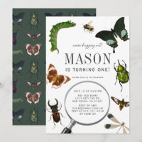 Bugs & Insectes Vintage Garçon 1er anniversaire