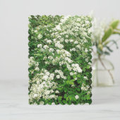 Invitation Buisson fleur Spirea (Debout devant)