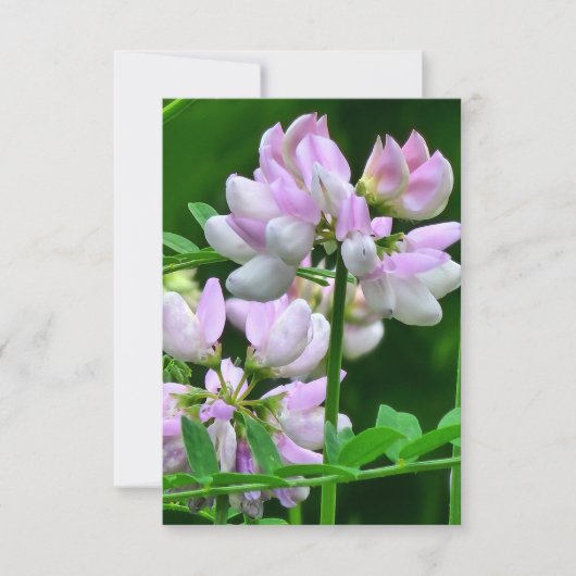 Invitation Bureaux de fleurs rose et blanc (Devant)