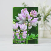 Invitation Bureaux de fleurs rose et blanc (Debout devant)