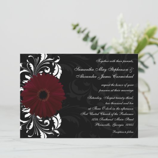 Invitation Burgundy Scroll Gerbera Daisy avec noir et blanc (Debout devant)