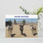 Invitation Burros Ouest (Debout devant)