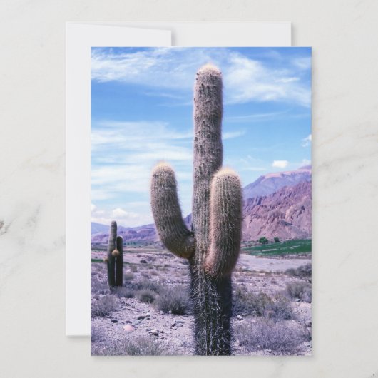 Invitation Cactus dans la province de Jujuy - Nord de l'Argen (Devant)