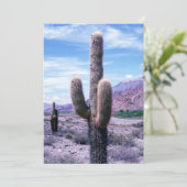 Invitation Cactus dans la province de Jujuy - Nord de l'Argen (Debout devant)