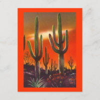 CACTUS OCCIDENTAL DE SAGUARO DE COUCHER DU SOLEIL