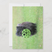 Invitation Cairn terrier (Devant)