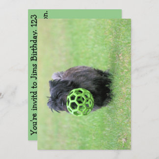 Invitation Cairn terrier
