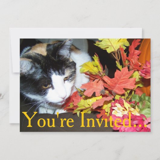 Invitation Calico Cat Thanksgiving Intition Pour Le Dîner (Devant)