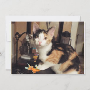 Invitation Calico Kitten avec un cadeau de poisson pour vous 