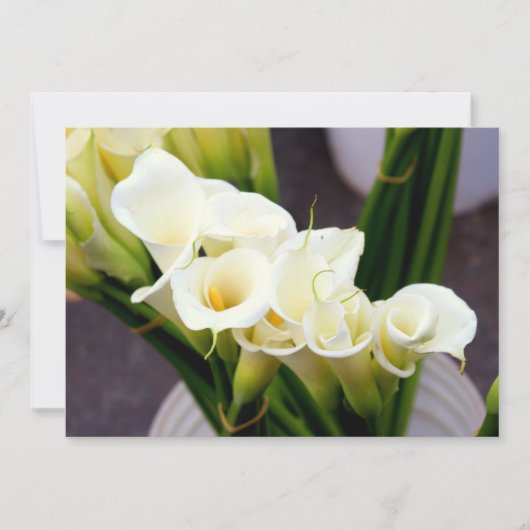 invitation calla lily (Devant)