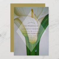 Calla Lily Mariage