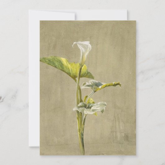 Invitation Calla Lily par Fidelia Bridges (Devant)