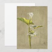 Invitation Calla Lily par Fidelia Bridges (Devant / Derrière)