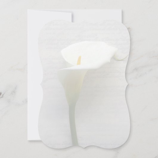 Invitation Calla lily sur l'ancienne écriture (Dos)