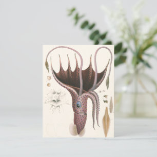 Invitation Calmar Parasol, Animaux Marins Vintage