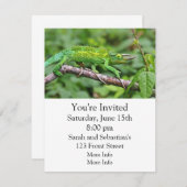 Invitation Caméléon de Jacksons (Devant / Derrière)