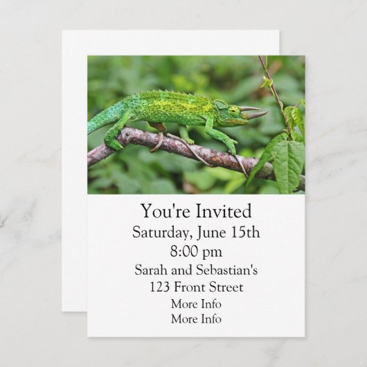 Invitation Caméléon de Jacksons (Devant / Derrière)