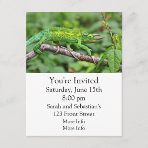 Invitation Caméléon de Jacksons