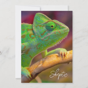 Invitation Caméléon Vert
