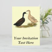 Invitation Canard à couchage hybride (Debout devant)