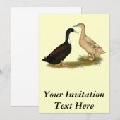 Invitation Canard à couchage hybride (Devant / Derrière)