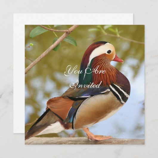 Invitation Canard mandarin (Devant / Derrière)