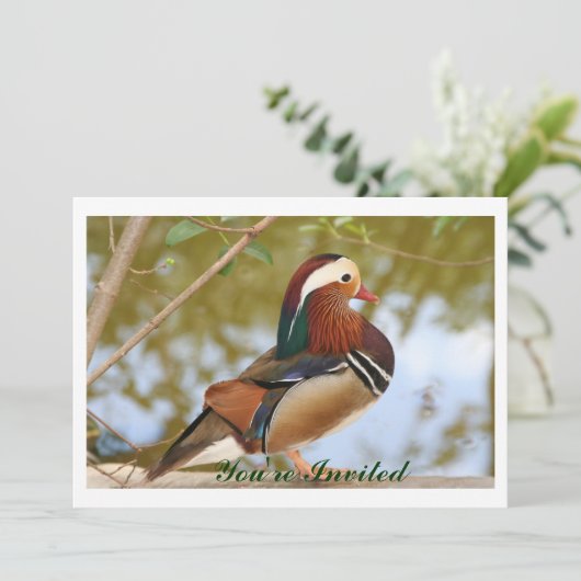 Invitation Canard mandarin (Debout devant)