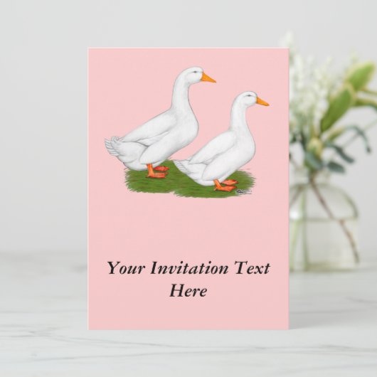 Invitation Canards : White Pekins (Debout devant)