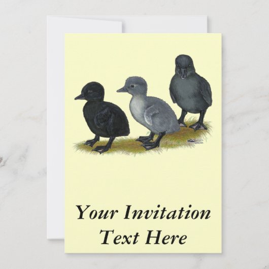 Invitation Canetons Blue Runner (Devant)
