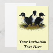 Invitation Canetons suédois noirs (Devant / Derrière)