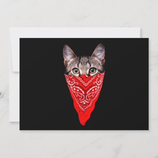 Invitation Capuchon de chat (Dos)