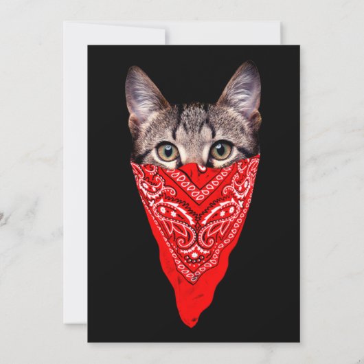 Invitation Capuchon de chat (Dos)