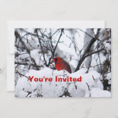 Invitation Cardinal 6216 Anniversaire (Devant)