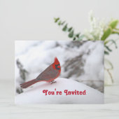 Invitation Cardinal Neige 6241 Anniversaire (Debout devant)