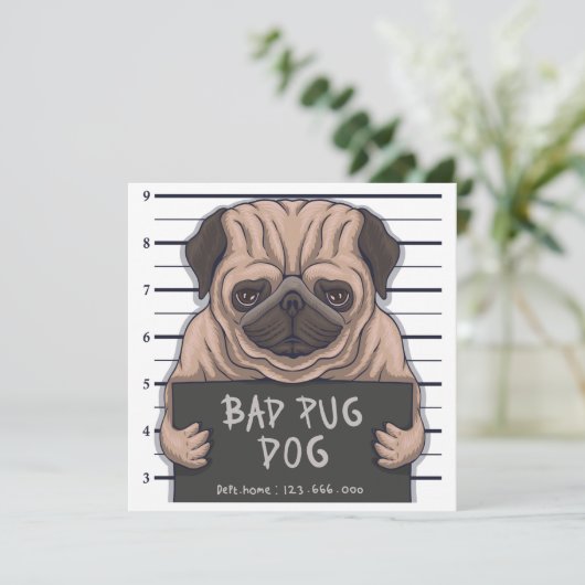 Invitation Carlin (Debout devant)