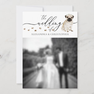 Invitation Carlin Chien chiot Mariage Photo