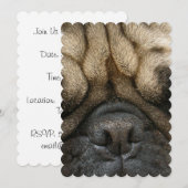 Invitation Carlin dormant (Devant / Derrière)