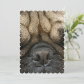 Invitation Carlin dormant (Debout devant)