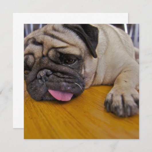 Invitation Carlin une trop d'invitation (Devant / Derrière)