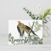 Invitation Carolina Pigeon Audubon Morning Dove (Debout devant)