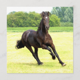 Invitation Carré - Customisée