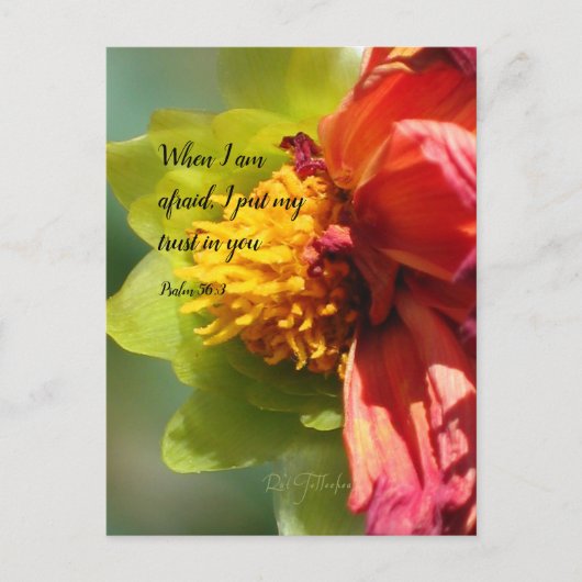 Invitation Carte Postale 2024 JW year text Psalm 56:3 (Devant)
