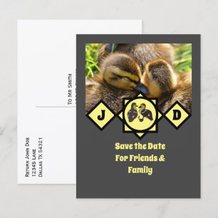 Invitation Carte Postale Adorable Twin Ducklings Monogramme Photo