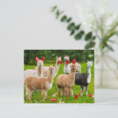 Invitation Carte Postale Alpacas Avec Coupes Rouges (Debout devant)