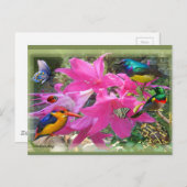 Invitation Carte Postale Amaryllis (Devant / Derrière)