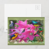 Invitation Carte Postale Amaryllis (Devant / Derrière)