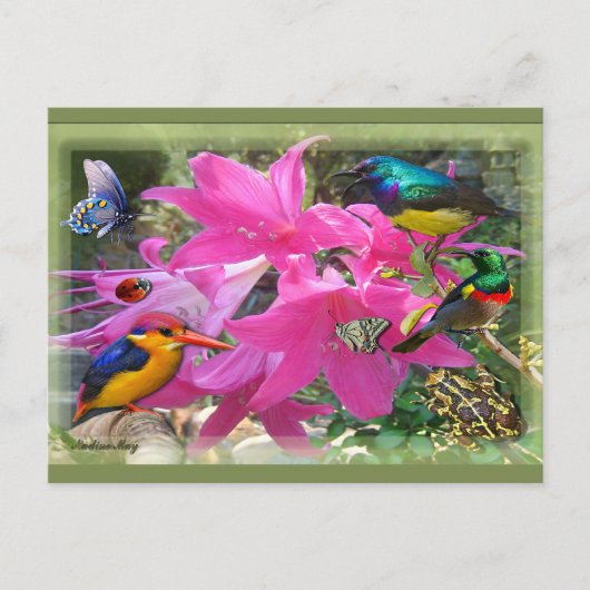 Invitation Carte Postale Amaryllis (Devant)